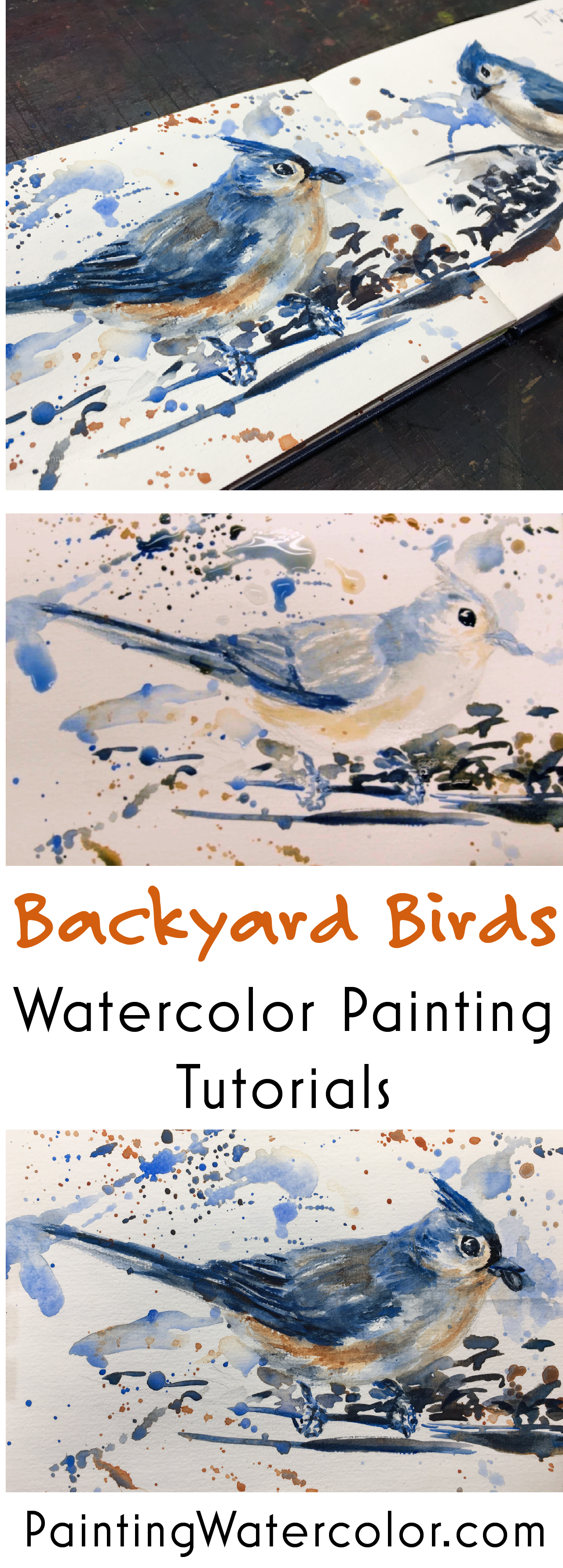 Backyard Bird Sketch, Tufted Titmouse 2 watercolor painting tutorial by Jennifer Branch