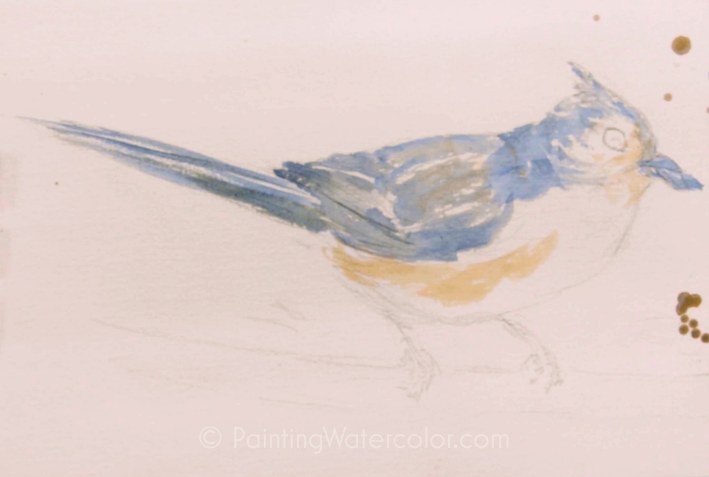 Backyard Bird Sketch, Tufted Titmouse 2 Painting Tutorial 3