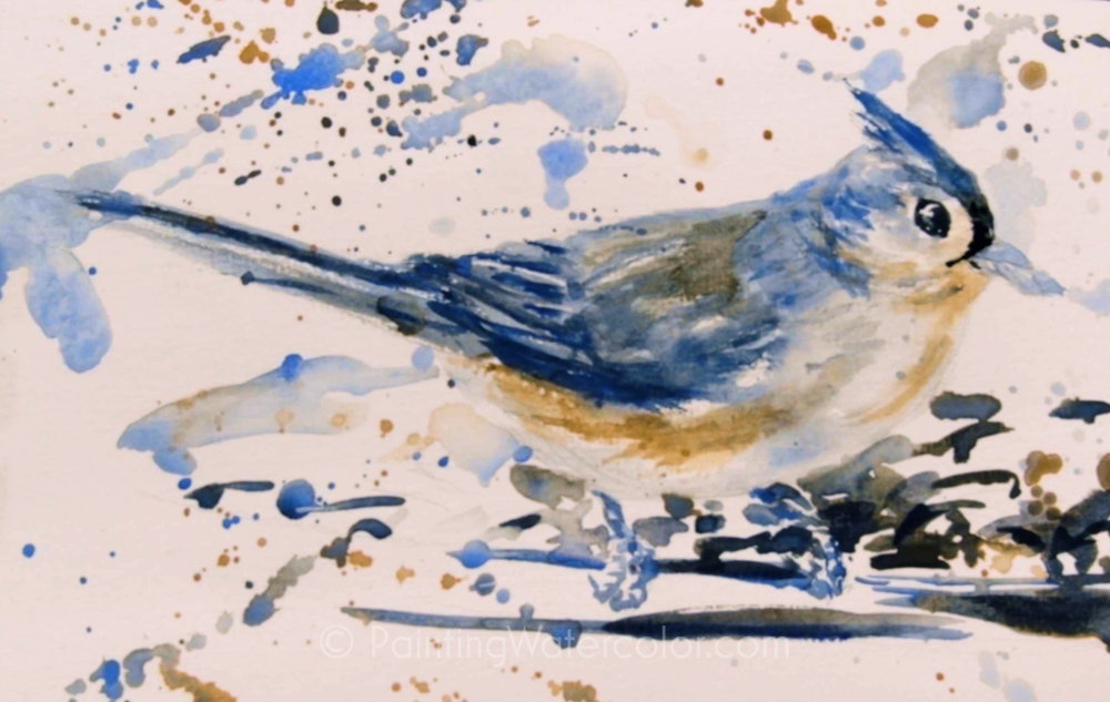 Backyard Bird Sketch, Tufted Titmouse 2 Painting Tutorial 5