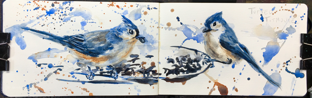 Backyard Bird Sketch, Tufted Titmouse 2 Watercolor Painting Lesson 1