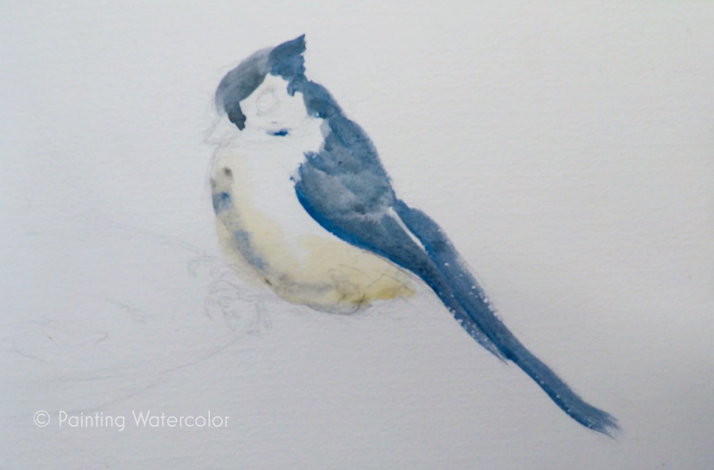 Backyard Bird Sketch, Tufted Titmouse Watercolor Painting Lesson 2