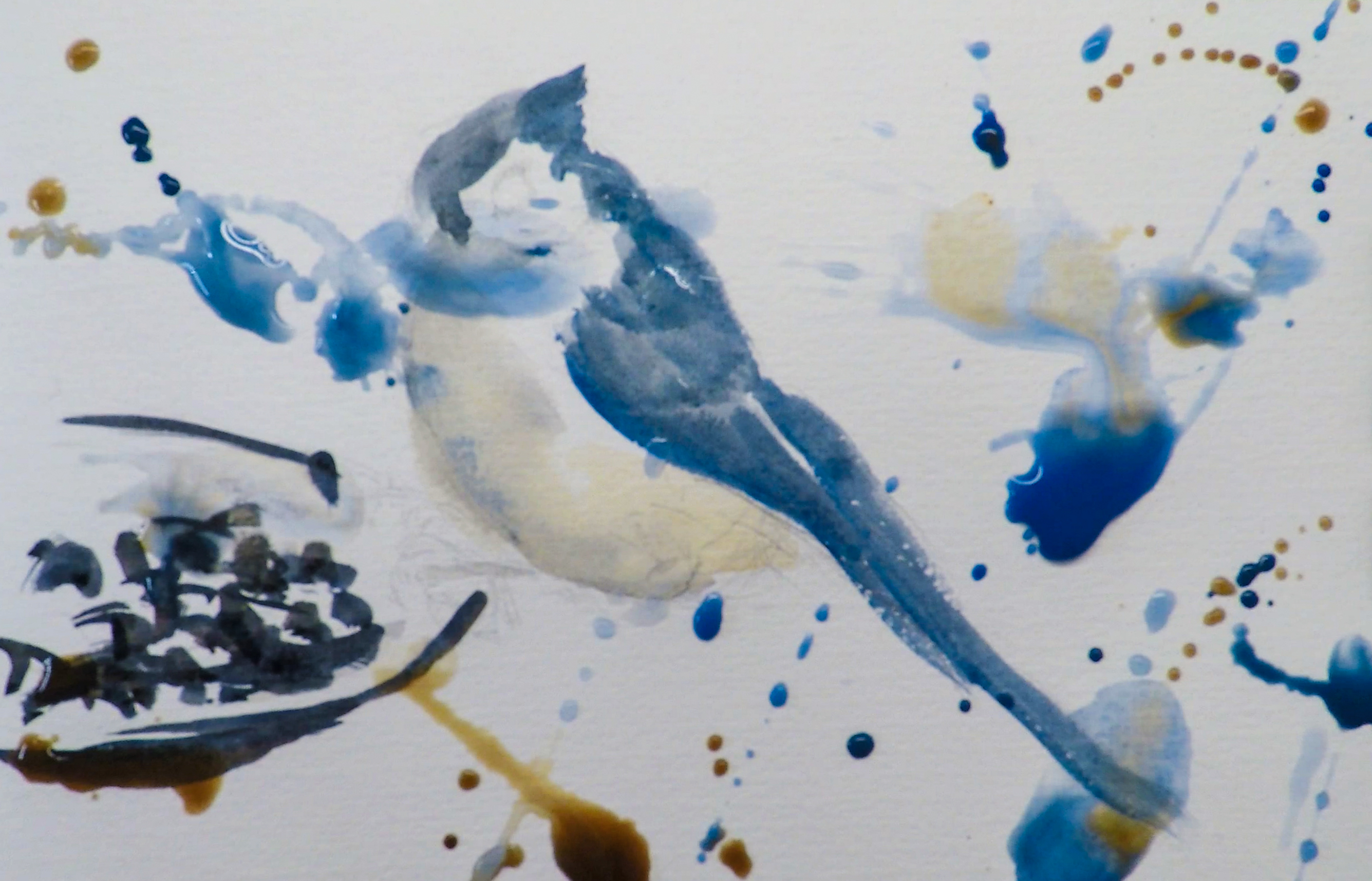 Backyard Bird Sketch, Tufted Titmouse Painting Tutorial 3