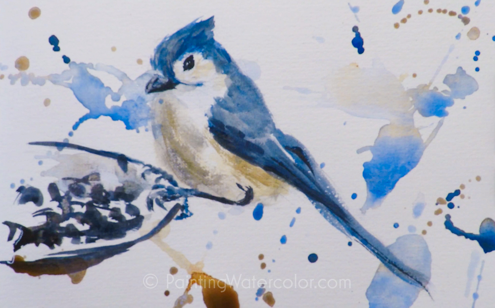 Backyard Bird Sketch, Tufted Titmouse Painting Tutorial 5