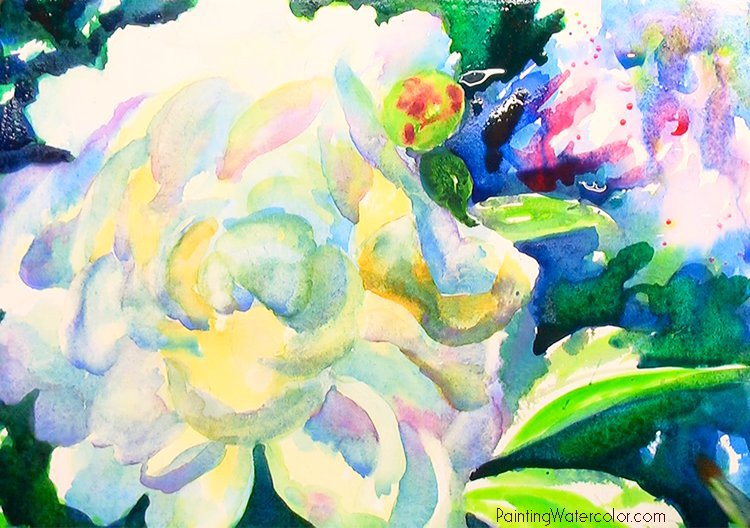 Peony Flower Watercolor Painting Tutorial 7