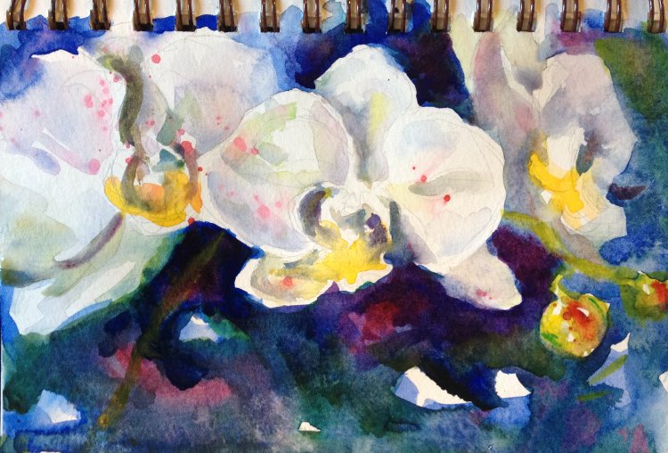 White Phalaenopsis Orchid Watercolor Painting Tutorial 6