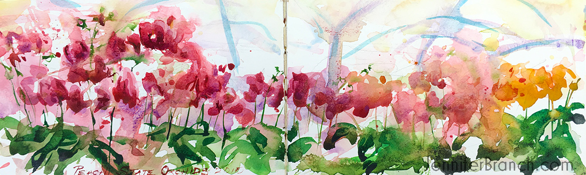 Orchids Sketch watercolor painting lesson by Jennifer Branch