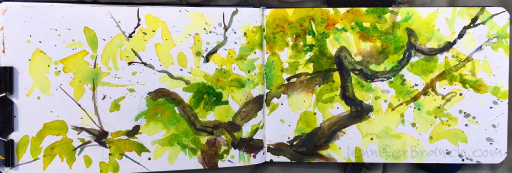 Sketching Trees by Jennifer Branch