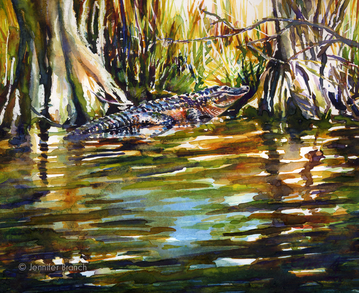 alligator watercolor painting Florida Everglades by Jennifer Branch.