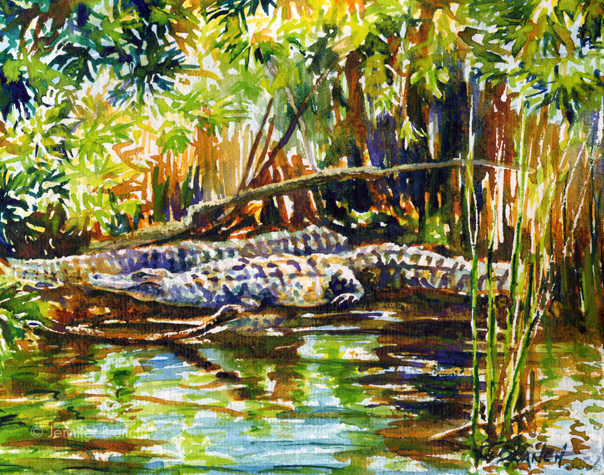 Alligators watercolor painting by Jennifer Branch.