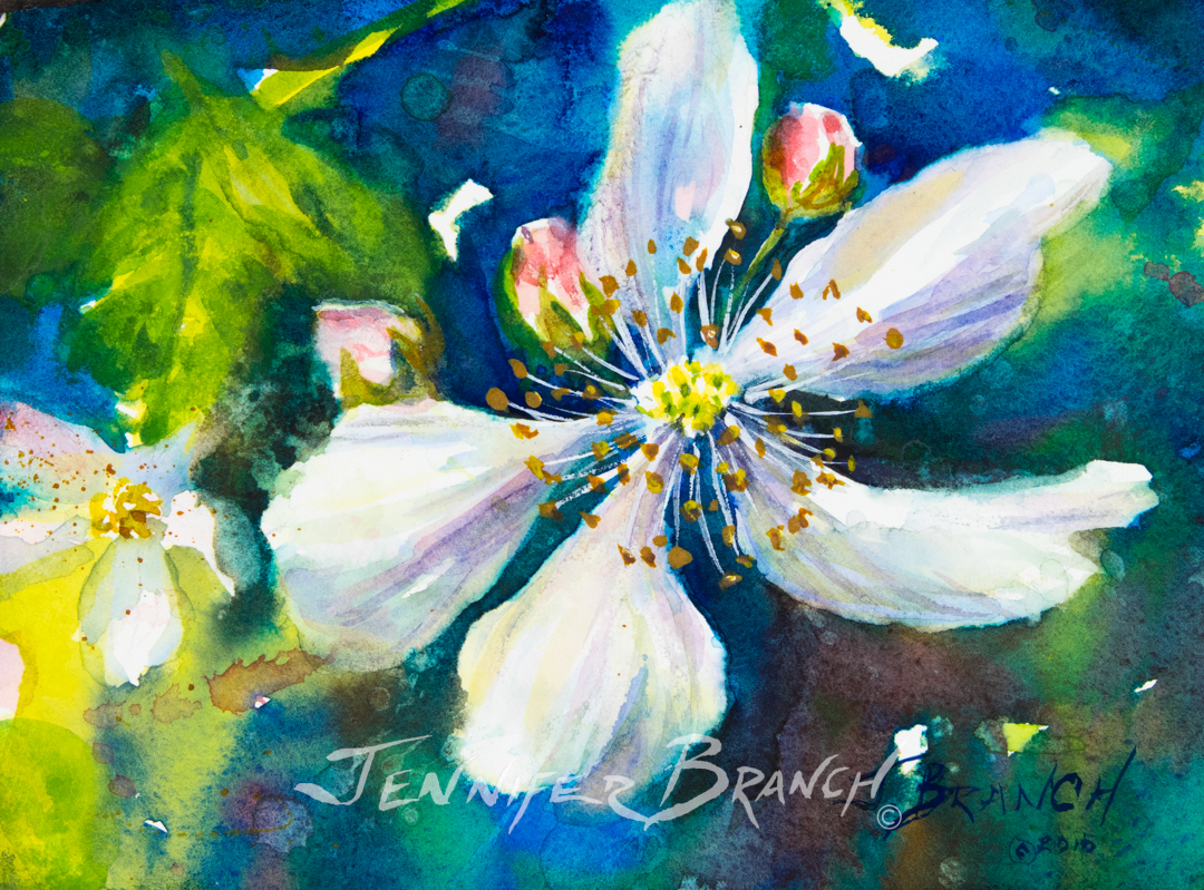 A beautiful blackberry flower sketch by Jennifer Branch.