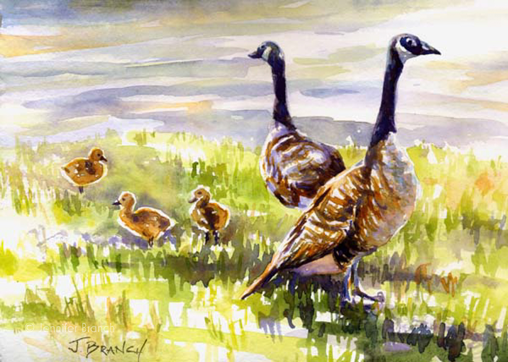 Canadian Geese watercolor painting