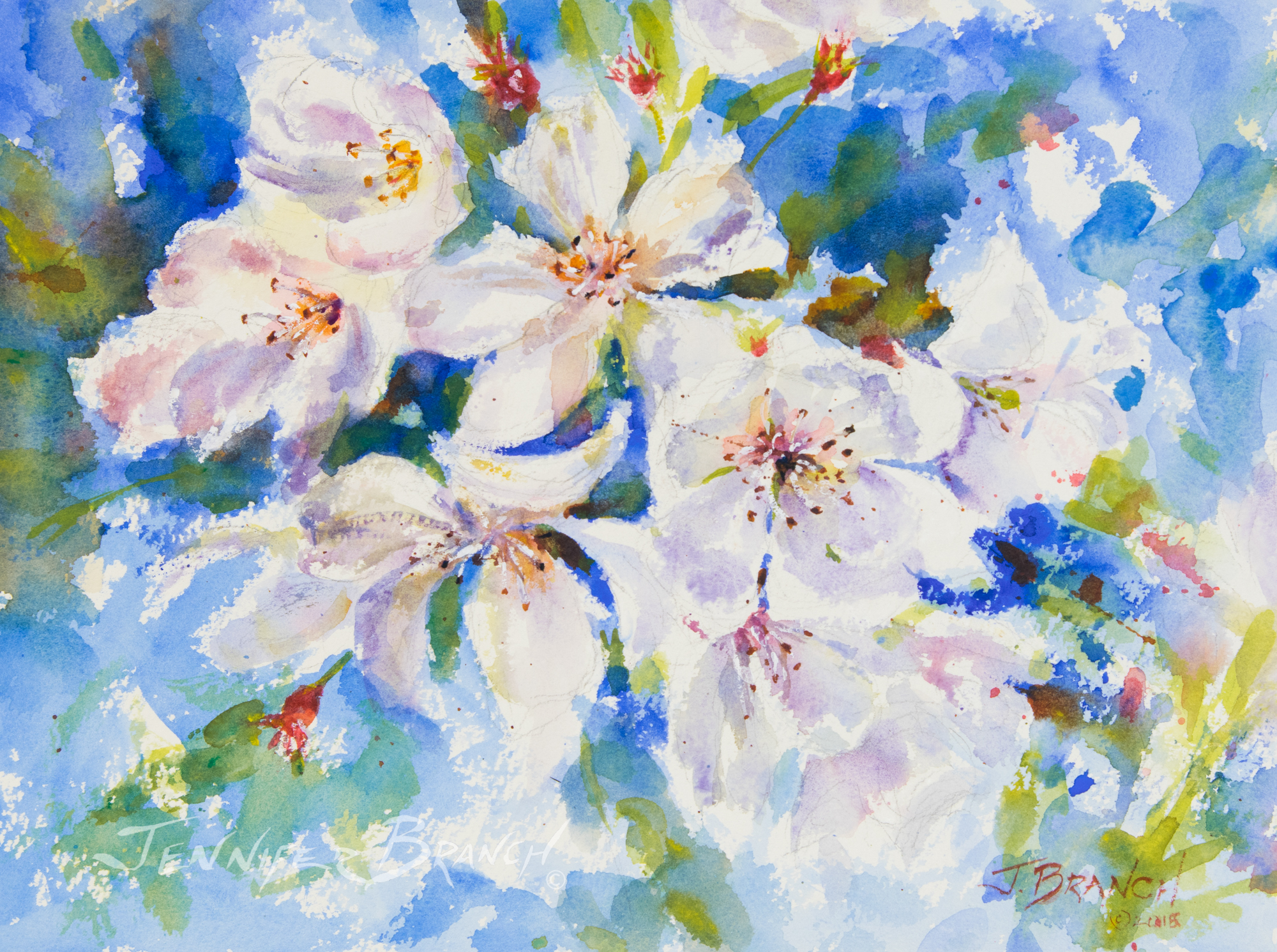 Cherry Blossoms Painting Tutorial Watercolor Painting Tutorial by Jennifer Branch