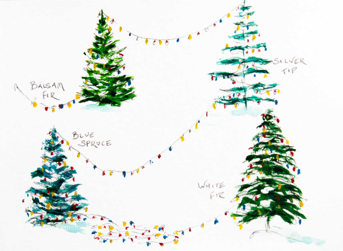 Christmas card trees