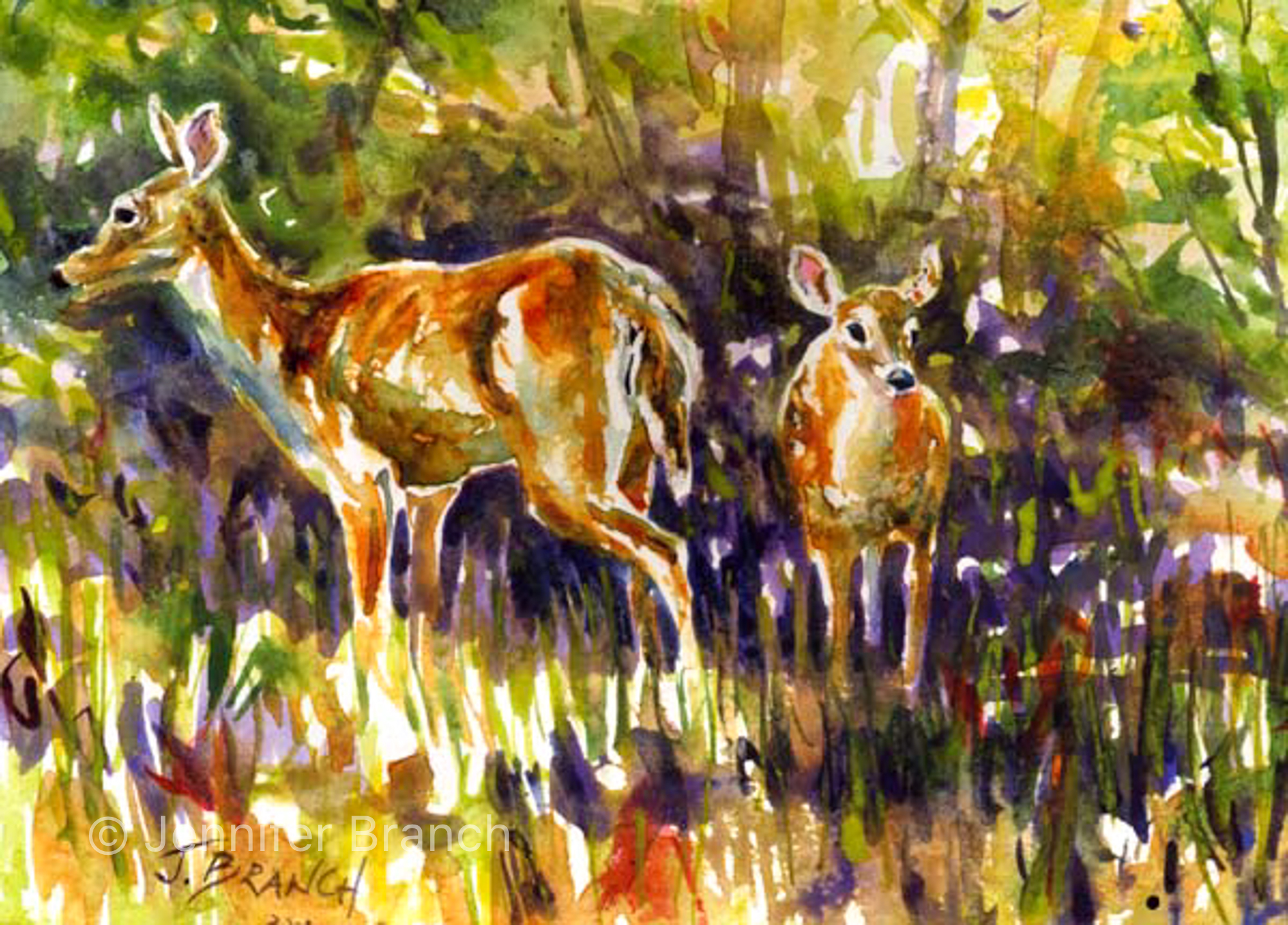 deer fawn watercolor painting by Jennifer Branch.