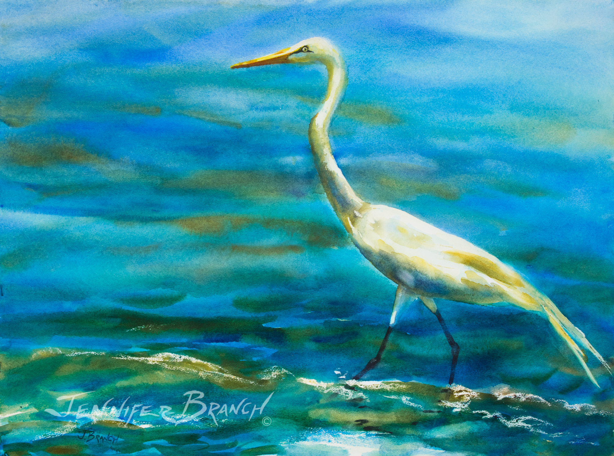 Egret watercolor painting by Jennifer Branch.