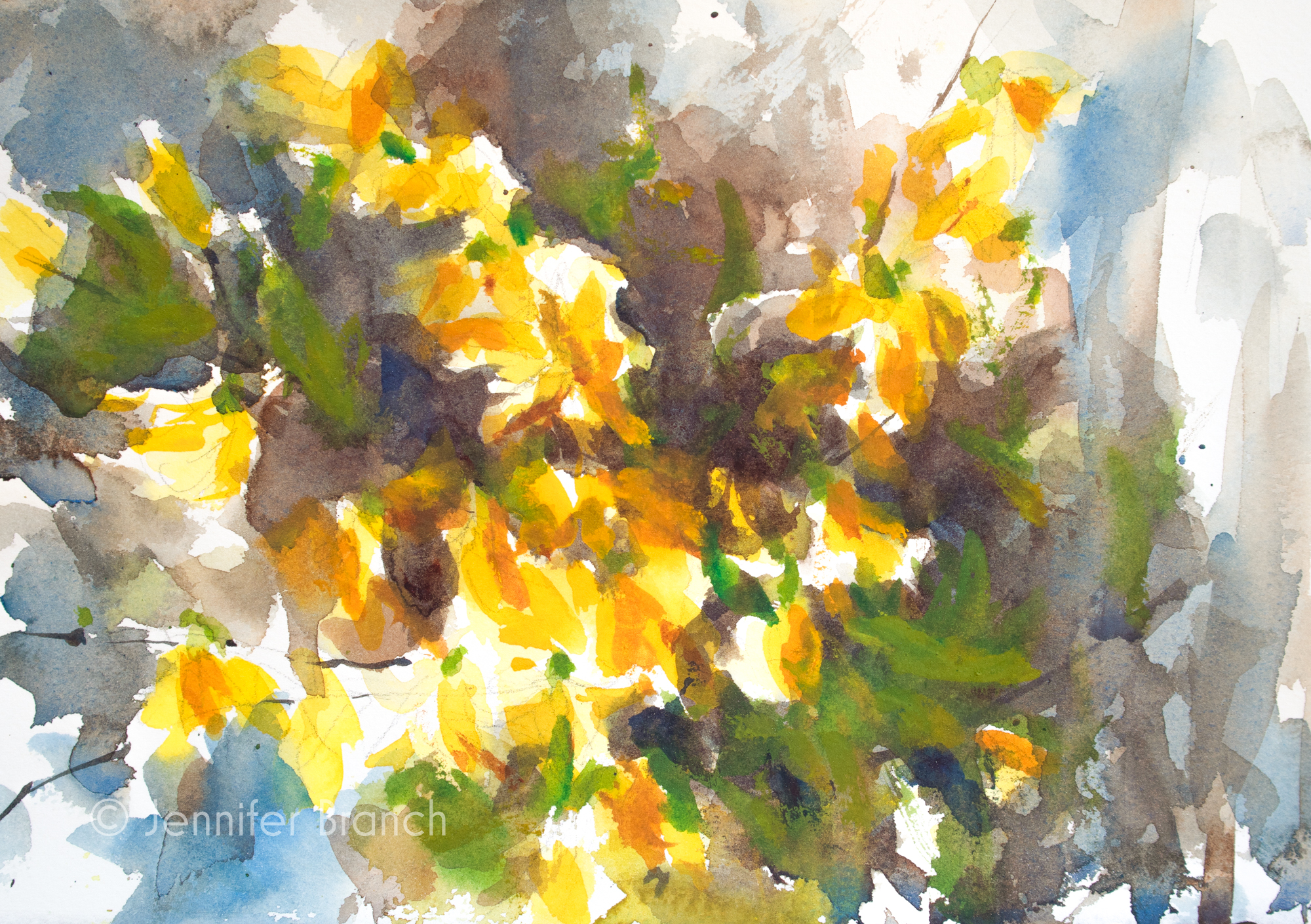 Forsythia Sketch Painting Tutorial Watercolor Painting tutorial