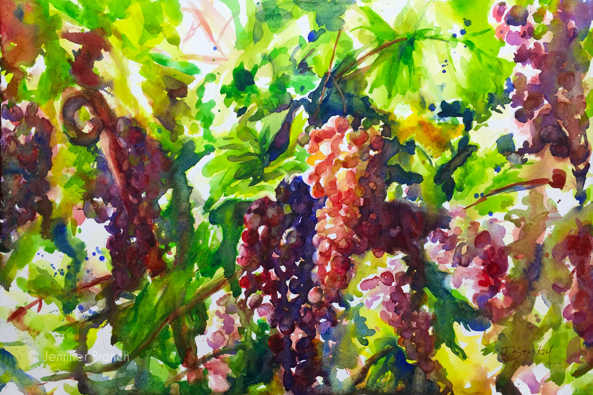 Grapevines watercolor painting in Italy by Jennifer Branch.