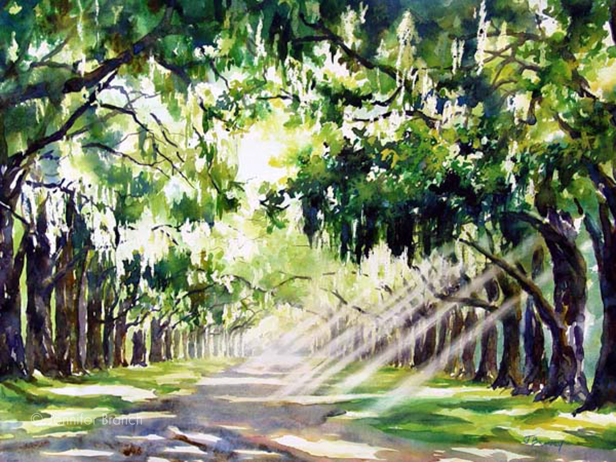 Live Oak Drive Plantation watercolor painting by Jennifer Branch.