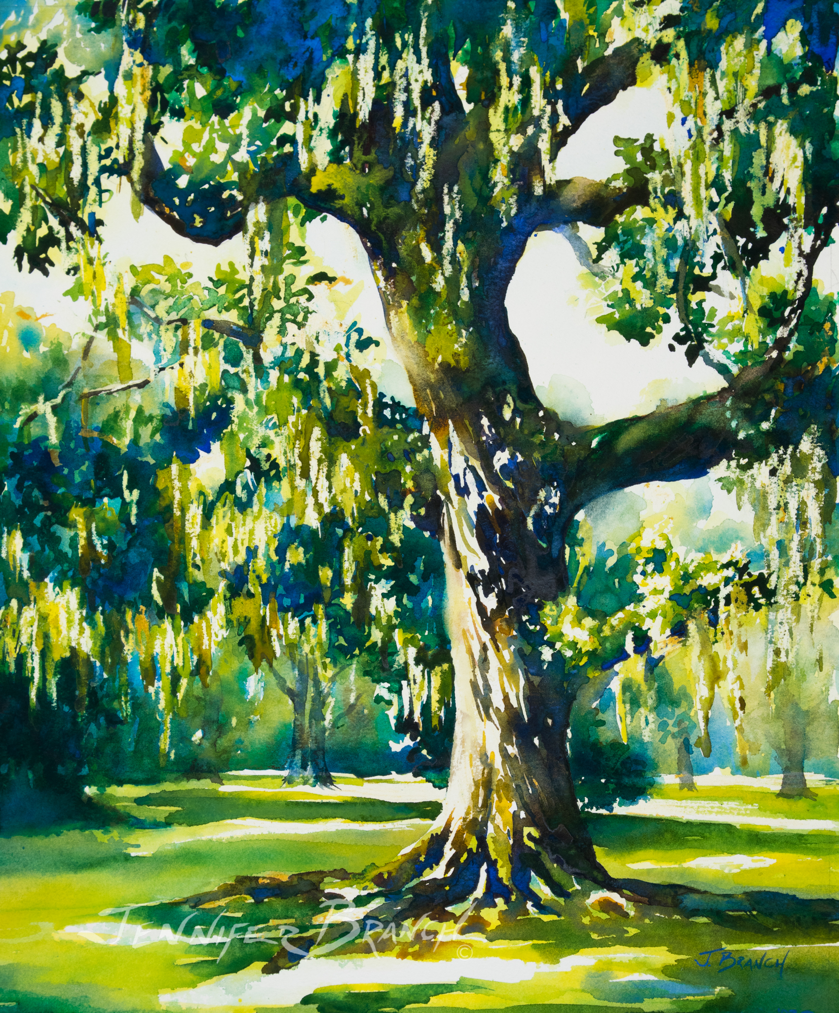 live oak watercolor painting
