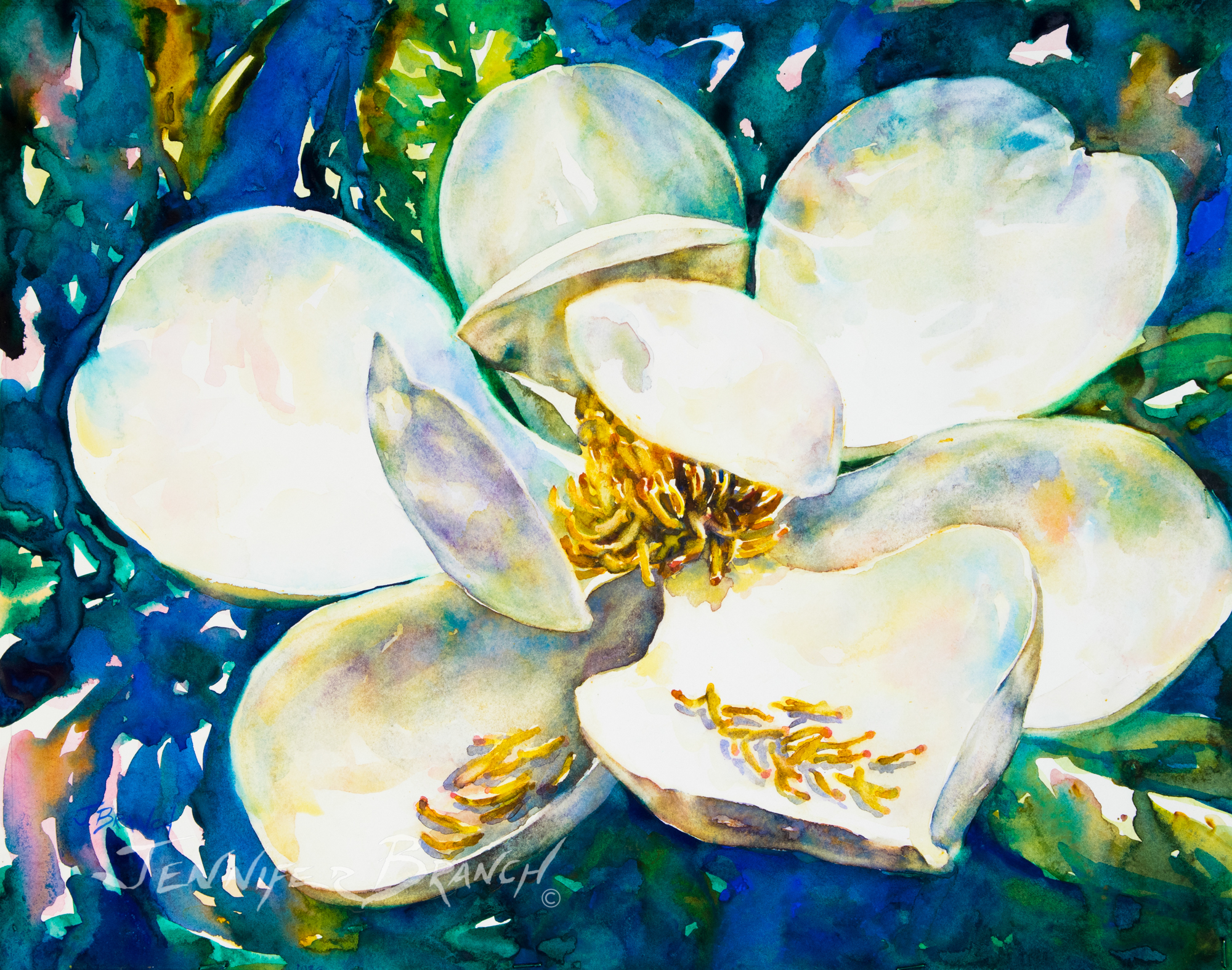 Magnolia flower watercolor painting by Jennifer Branch.