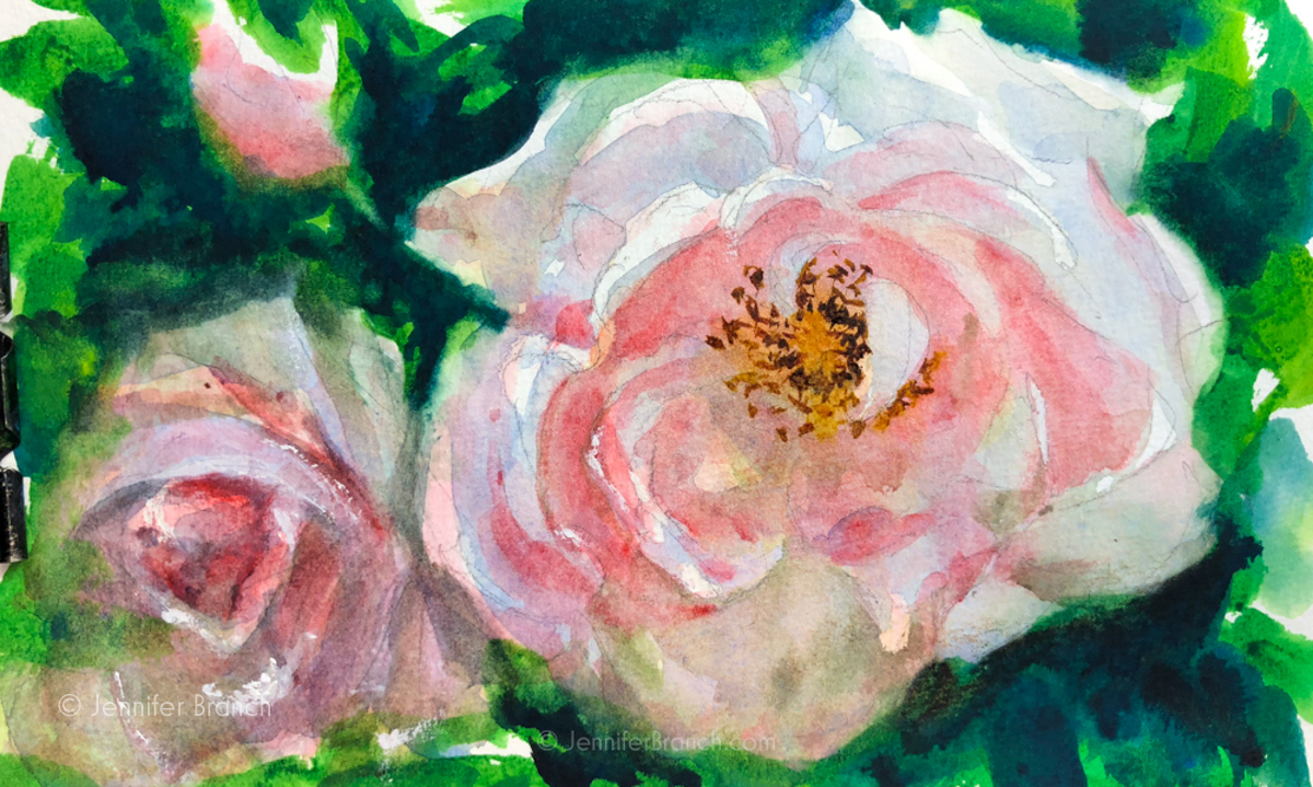 New Dawn Roses Sketch by Jennifer Branch