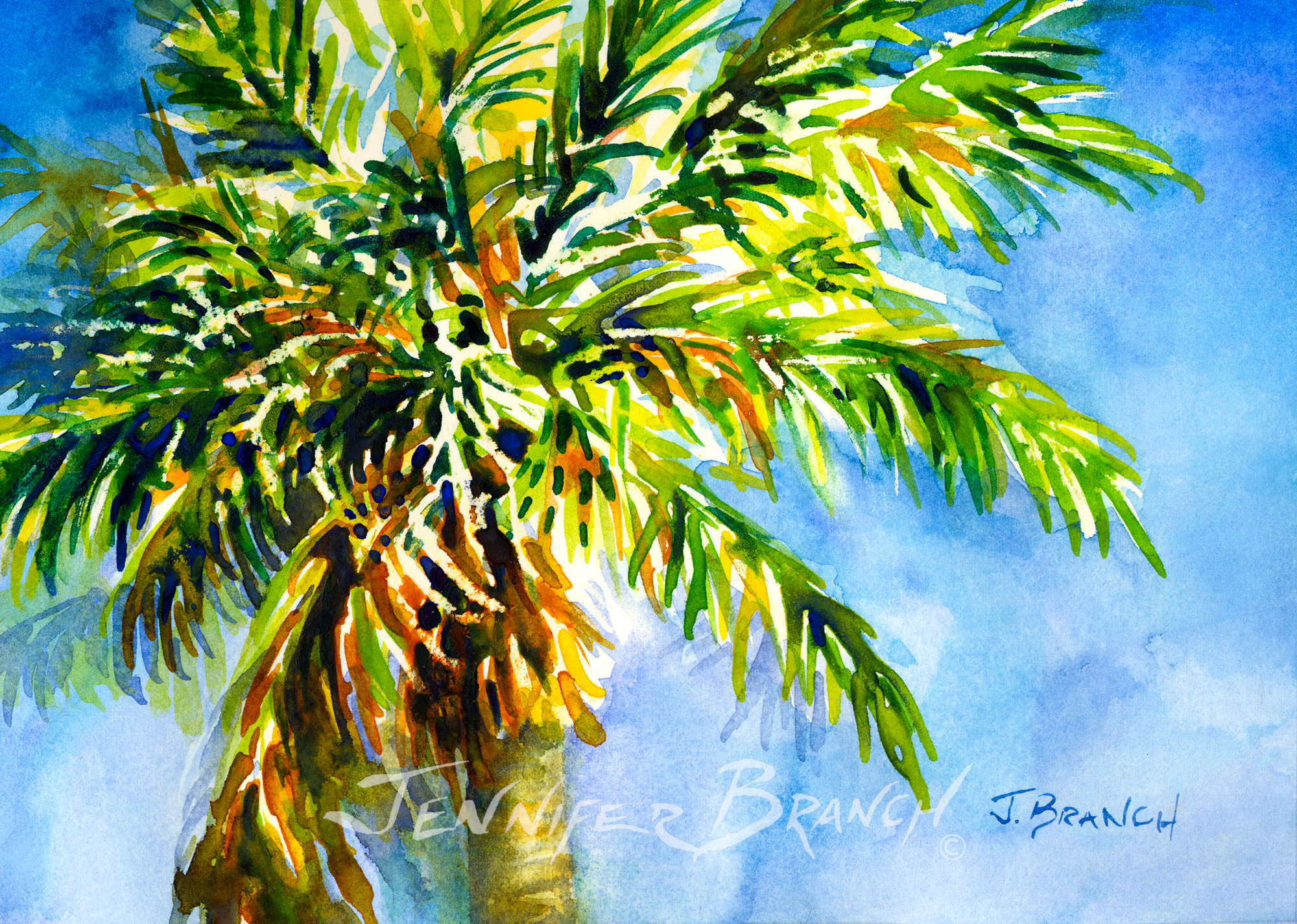 Palm Tree watercolor painting by Jennifer Branch.