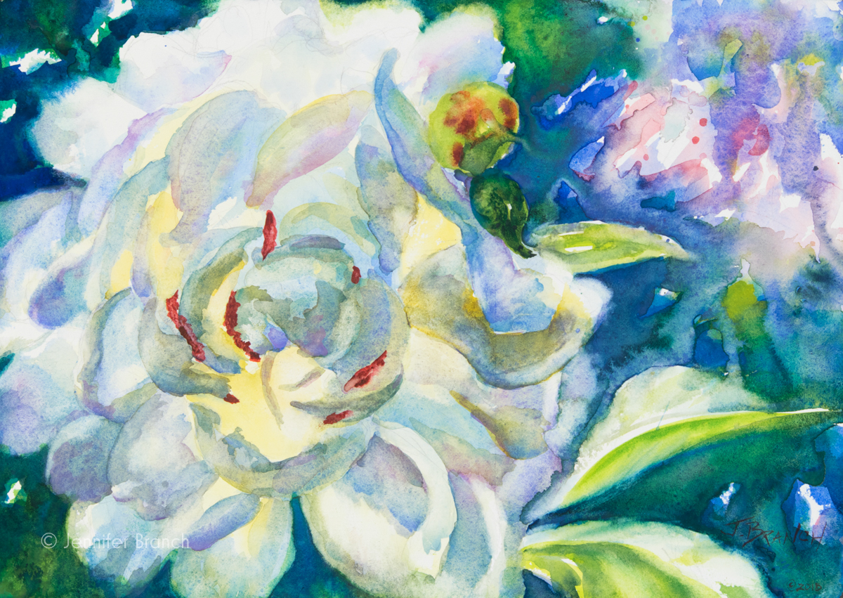 Peony watercolor painting by Jennifer Branch.