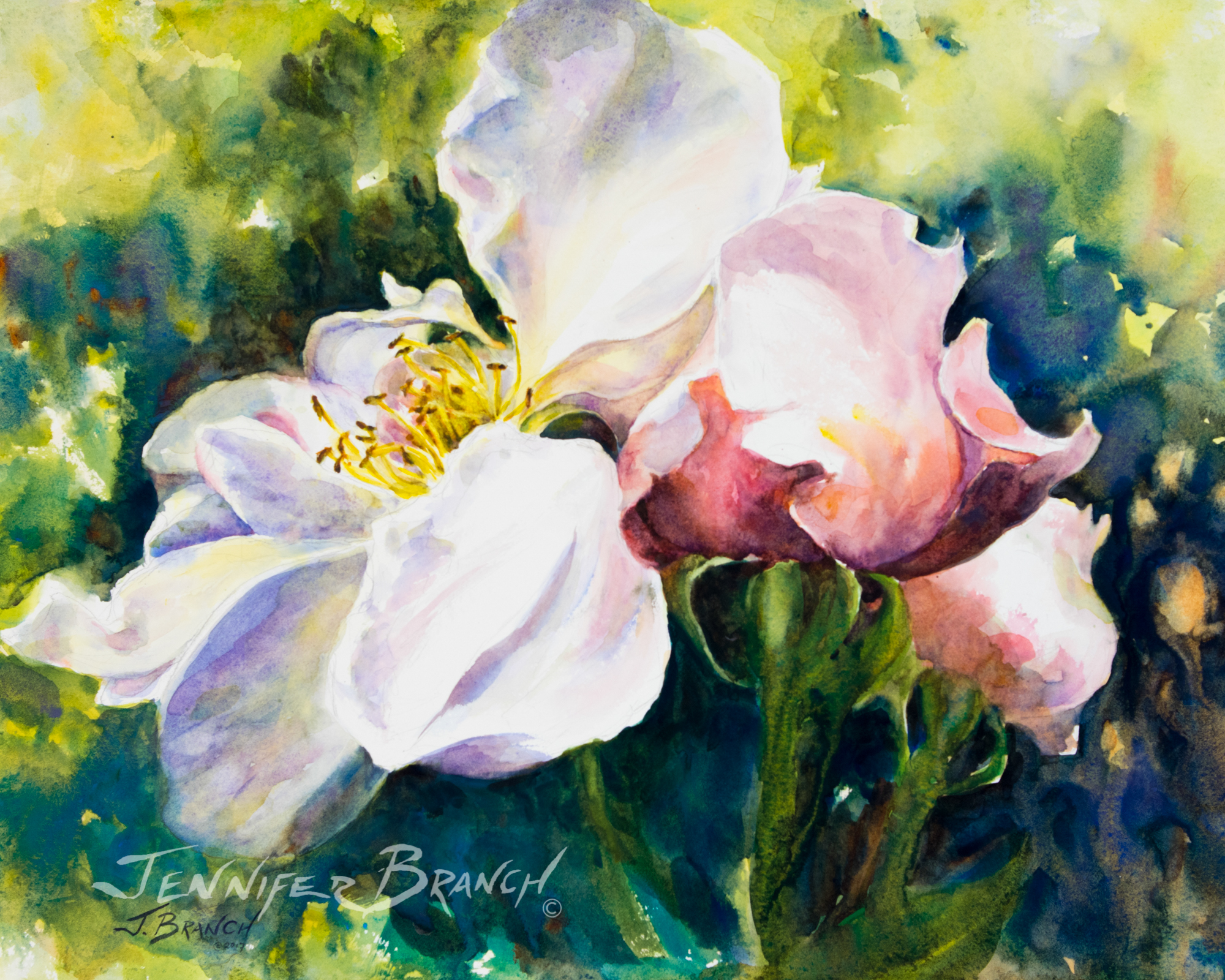 Roses watercolor painting by Jennifer Branch by Jennifer Branch