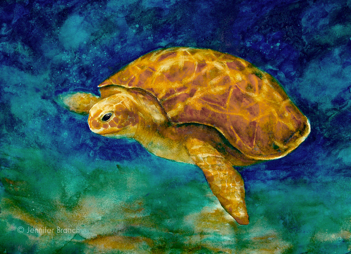 sea turtle watercolor painting by Jennifer Branch