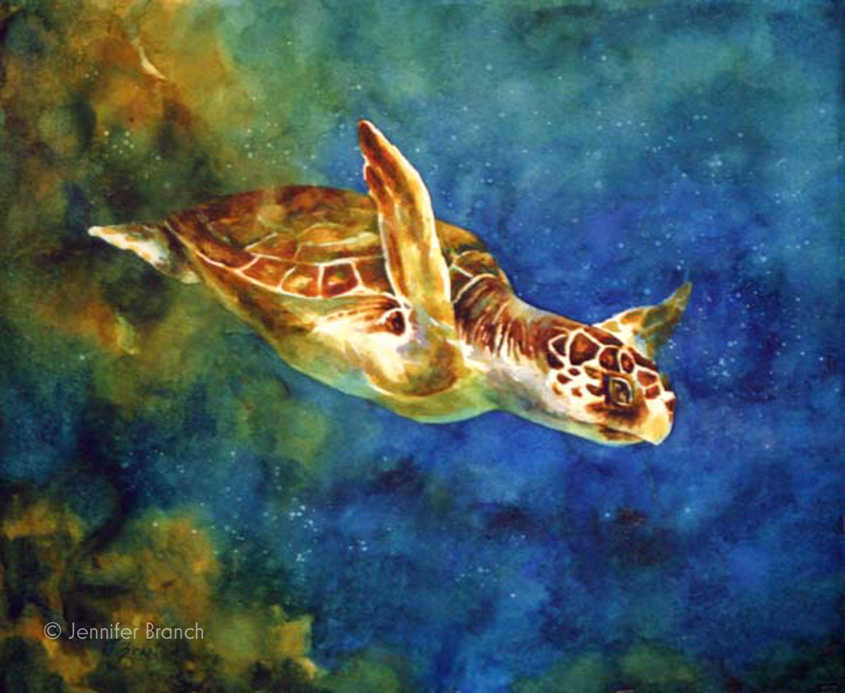 Sea Turtle painting by Jennifer Branch.