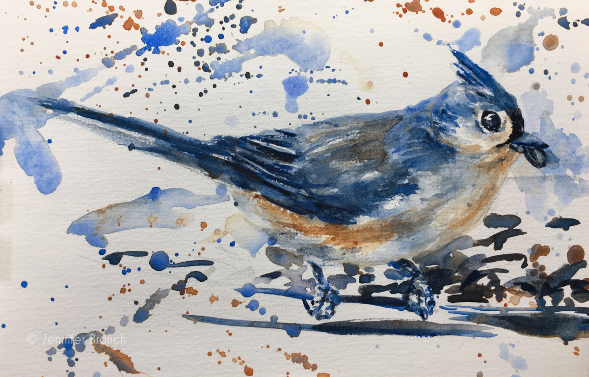 Backyard Bird Sketch, Tufted Titmouse 2 watercolor sketch by Jennifer Branch