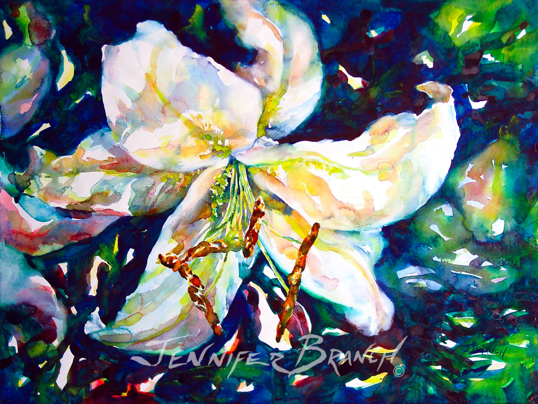 Casablanca lily watercolor painting by Jennifer Branch.